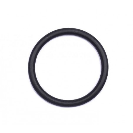 O-Ring 19 x 2 mm