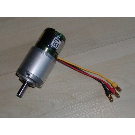 Motor brushless 1:100