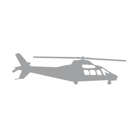 Etiqueta engomada del coche Agusta plata mate