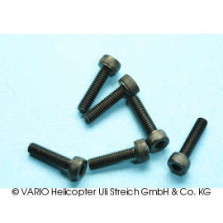 Socket-head cap screw M 2.5 x 10 G12