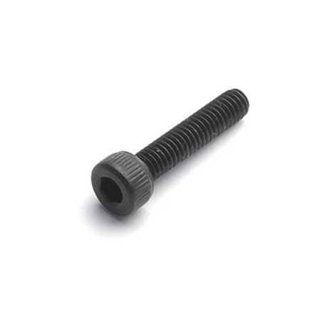 Viti a brugola M2,5 x 12 G12