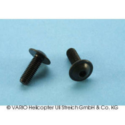 Tornillo de cabeza de llenado bridada M 5 x 14 G12