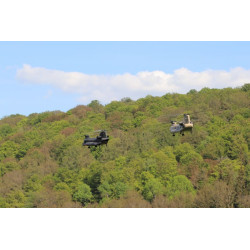 Kit de fuselaje eléctrico Chinook 1:7.5 que incluye mecanismo tándem