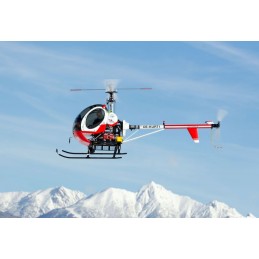 Schweizer 300C 1:5 -...