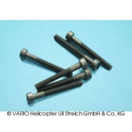 Socket-head cap screw M 3 x 25