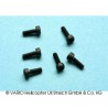 Socket-head cap screw M 2 x 6 G12