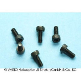 Socket-head cap screw M 2.5...