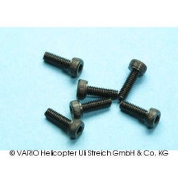 Socket-head cap screw M 2.5...