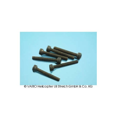 Socket-head cap screw M 3 x 22