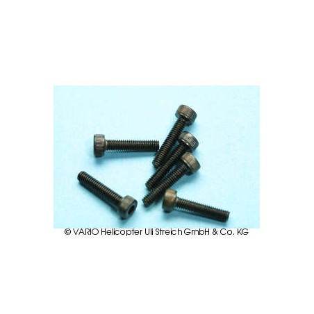 Socket-head cap screw M 2.5 x 12 G12