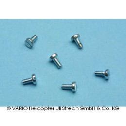 Cheesehead screw M 2 x 4