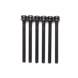 Phillips head screw M 5 x 55